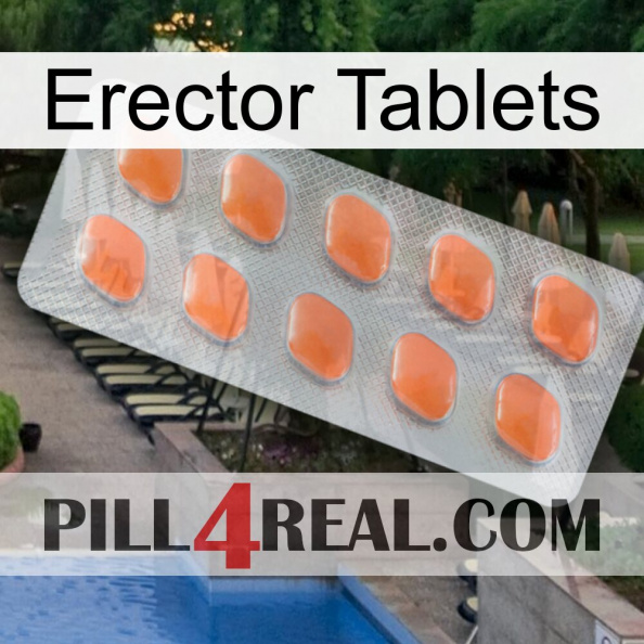 Erector Tablets 26.jpg